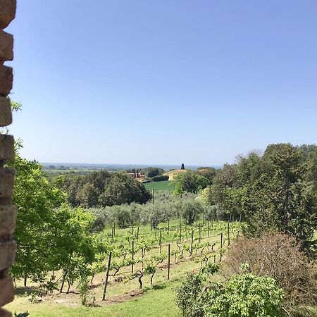 Agriturismo La Leccia Villa Bibbona Ngoại thất bức ảnh