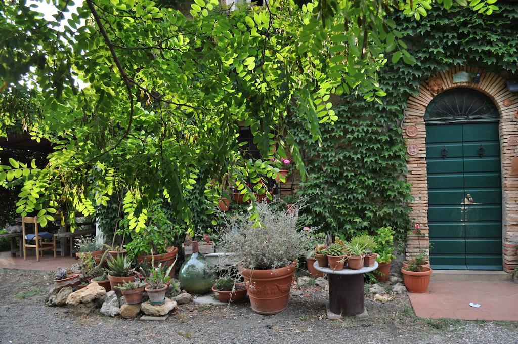 Agriturismo La Leccia Villa Bibbona Ngoại thất bức ảnh