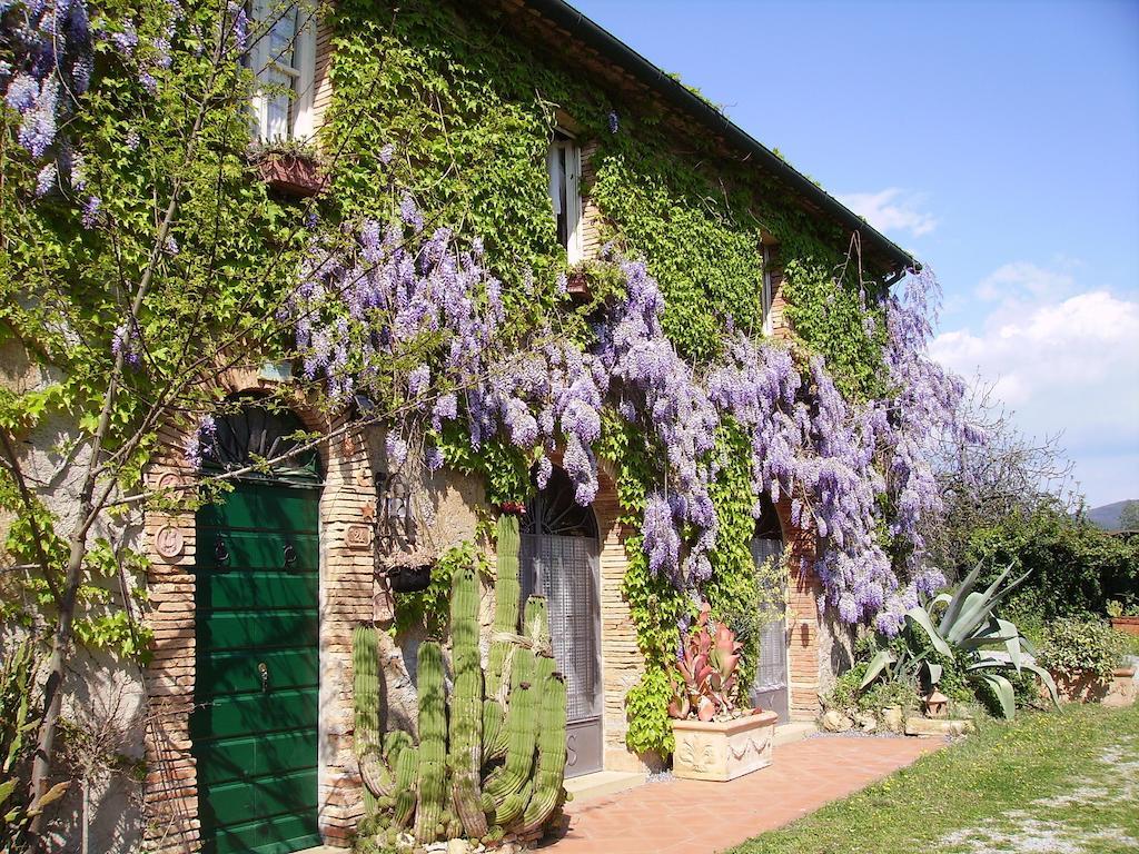 Agriturismo La Leccia Villa Bibbona Ngoại thất bức ảnh
