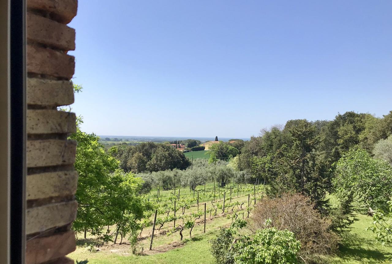 Agriturismo La Leccia Villa Bibbona Ngoại thất bức ảnh